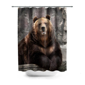 Штора 3D для ванной с принтом Русский медведь , 100% полиэстер | плотность материала — 100 г/м2. Стандартный размер — 146 см х 180 см. По верхнему краю — пластиковые люверсы для креплений. В комплекте 10 пластиковых колец | медведь | россия | русский | русский медведь