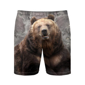 Мужские шорты 3D спортивные с принтом Русский медведь ,  |  | медведь | россия | русский | русский медведь