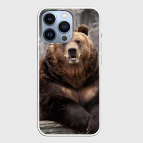 Чехол для iPhone 13 Pro с принтом Русский медведь ,  |  | медведь | россия | русский | русский медведь