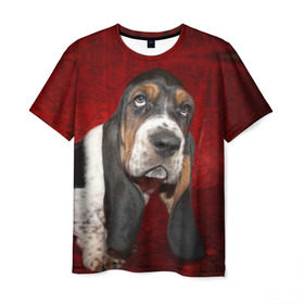 Мужская футболка 3D с принтом Бассет-хаунд , 100% полиэфир | прямой крой, круглый вырез горловины, длина до линии бедер | бархат | бассет хаунд | взгляд | домашнее | животное | порода | собака | уши