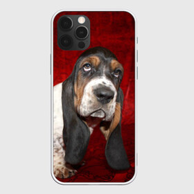 Чехол для iPhone 12 Pro Max с принтом Бассет-хаунд , Силикон |  | бархат | бассет хаунд | взгляд | домашнее | животное | порода | собака | уши