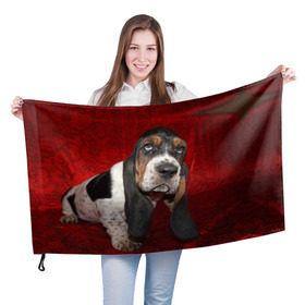 Флаг 3D с принтом Бассет-хаунд , 100% полиэстер | плотность ткани — 95 г/м2, размер — 67 х 109 см. Принт наносится с одной стороны | бархат | бассет хаунд | взгляд | домашнее | животное | порода | собака | уши