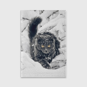 Обложка для паспорта матовая кожа с принтом Кот в снегу , натуральная матовая кожа | размер 19,3 х 13,7 см; прозрачные пластиковые крепления | Тематика изображения на принте: ветки | дикий | домашнее | животное | зима | кот | котэ | кошка | снег | сугробы