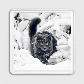 Магнит 55*55 с принтом Кот в снегу , Пластик | Размер: 65*65 мм; Размер печати: 55*55 мм | Тематика изображения на принте: ветки | дикий | домашнее | животное | зима | кот | котэ | кошка | снег | сугробы