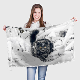 Флаг 3D с принтом Кот в снегу , 100% полиэстер | плотность ткани — 95 г/м2, размер — 67 х 109 см. Принт наносится с одной стороны | ветки | дикий | домашнее | животное | зима | кот | котэ | кошка | снег | сугробы