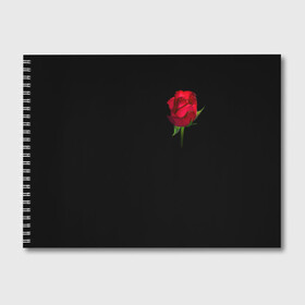 Альбом для рисования с принтом Розы за спиной , 100% бумага
 | матовая бумага, плотность 200 мг. | за спиной | любовь | подарок | роза | розы | сюрприз | цветы | чувства