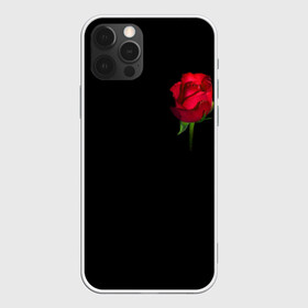 Чехол для iPhone 12 Pro с принтом Розы за спиной , силикон | область печати: задняя сторона чехла, без боковых панелей | за спиной | любовь | подарок | роза | розы | сюрприз | цветы | чувства