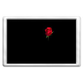 Магнит 45*70 с принтом Розы за спиной , Пластик | Размер: 78*52 мм; Размер печати: 70*45 | за спиной | любовь | подарок | роза | розы | сюрприз | цветы | чувства