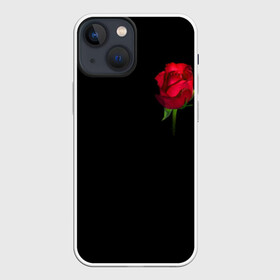 Чехол для iPhone 13 mini с принтом Розы за спиной ,  |  | за спиной | любовь | подарок | роза | розы | сюрприз | цветы | чувства