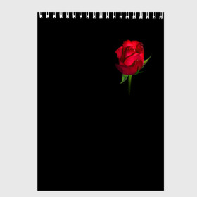 Скетчбук с принтом Розы за спиной , 100% бумага
 | 48 листов, плотность листов — 100 г/м2, плотность картонной обложки — 250 г/м2. Листы скреплены сверху удобной пружинной спиралью | за спиной | любовь | подарок | роза | розы | сюрприз | цветы | чувства