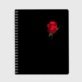 Тетрадь с принтом Розы за спиной , 100% бумага | 48 листов, плотность листов — 60 г/м2, плотность картонной обложки — 250 г/м2. Листы скреплены сбоку удобной пружинной спиралью. Уголки страниц и обложки скругленные. Цвет линий — светло-серый
 | за спиной | любовь | подарок | роза | розы | сюрприз | цветы | чувства
