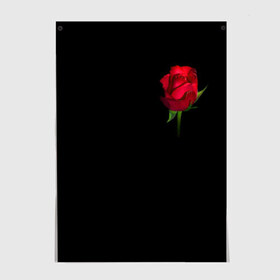 Постер с принтом Розы за спиной , 100% бумага
 | бумага, плотность 150 мг. Матовая, но за счет высокого коэффициента гладкости имеет небольшой блеск и дает на свету блики, но в отличии от глянцевой бумаги не покрыта лаком | за спиной | любовь | подарок | роза | розы | сюрприз | цветы | чувства