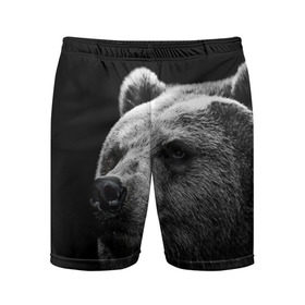 Мужские шорты 3D спортивные с принтом Медведь ,  |  | бурый | дикий | животное | медведь | россия | символ | тайги | фото | хищник | хозяин | черно белое