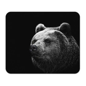 Коврик прямоугольный с принтом Медведь , натуральный каучук | размер 230 х 185 мм; запечатка лицевой стороны | Тематика изображения на принте: бурый | дикий | животное | медведь | россия | символ | тайги | фото | хищник | хозяин | черно белое