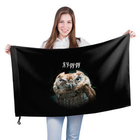 Флаг 3D с принтом Я Уруру , 100% полиэстер | плотность ткани — 95 г/м2, размер — 67 х 109 см. Принт наносится с одной стороны | сова
