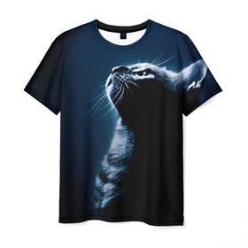Мужская футболка 3D с принтом Котёнок , 100% полиэфир | прямой крой, круглый вырез горловины, длина до линии бедер | animal
