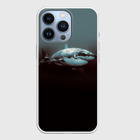 Чехол для iPhone 13 Pro с принтом Акула ,  |  | акула | море | хищник