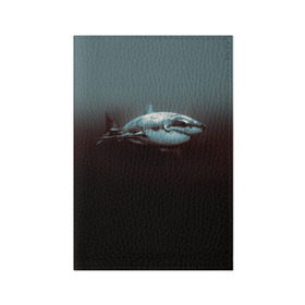 Обложка для паспорта матовая кожа с принтом Акула , натуральная матовая кожа | размер 19,3 х 13,7 см; прозрачные пластиковые крепления | акула | море | хищник
