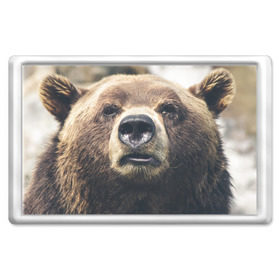 Магнит 45*70 с принтом Русский медведь , Пластик | Размер: 78*52 мм; Размер печати: 70*45 | медведь | россия | русский | символ | ссср