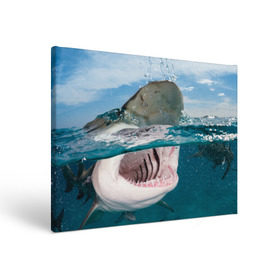 Холст прямоугольный с принтом Хищная акула , 100% ПВХ |  | акула | море | океан | природа | хищник