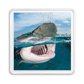 Магнит 55*55 с принтом Хищная акула , Пластик | Размер: 65*65 мм; Размер печати: 55*55 мм | акула | море | океан | природа | хищник