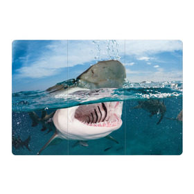 Магнитный плакат 3Х2 с принтом Хищная акула , Полимерный материал с магнитным слоем | 6 деталей размером 9*9 см | акула | море | океан | природа | хищник
