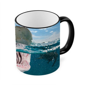 Кружка 3D с принтом Хищная акула , керамика | ёмкость 330 мл | акула | море | океан | природа | хищник