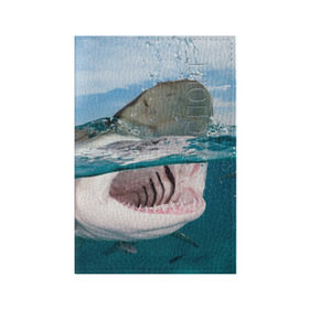 Обложка для паспорта матовая кожа с принтом Хищная акула , натуральная матовая кожа | размер 19,3 х 13,7 см; прозрачные пластиковые крепления | Тематика изображения на принте: акула | море | океан | природа | хищник