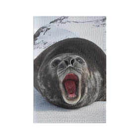 Обложка для паспорта матовая кожа с принтом Морской тюлень , натуральная матовая кожа | размер 19,3 х 13,7 см; прозрачные пластиковые крепления | животное | зима | море | океан | снег | тюлень