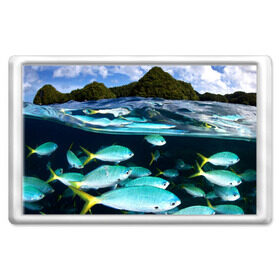 Магнит 45*70 с принтом Подводный мир , Пластик | Размер: 78*52 мм; Размер печати: 70*45 | Тематика изображения на принте: вода | море | океан | природа | рыба | рыбы