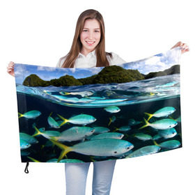 Флаг 3D с принтом Подводный мир , 100% полиэстер | плотность ткани — 95 г/м2, размер — 67 х 109 см. Принт наносится с одной стороны | вода | море | океан | природа | рыба | рыбы