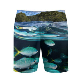 Мужские шорты 3D спортивные с принтом Подводный мир ,  |  | вода | море | океан | природа | рыба | рыбы