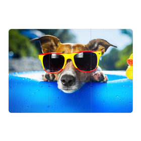 Магнитный плакат 3Х2 с принтом Пес в очках , Полимерный материал с магнитным слоем | 6 деталей размером 9*9 см | отдых | очки | пес | собака | щенок