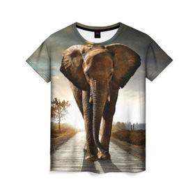 Женская футболка 3D с принтом Дикий слон , 100% полиэфир ( синтетическое хлопкоподобное полотно) | прямой крой, круглый вырез горловины, длина до линии бедер | слон