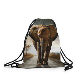 Рюкзак-мешок 3D с принтом Дикий слон , 100% полиэстер | плотность ткани — 200 г/м2, размер — 35 х 45 см; лямки — толстые шнурки, застежка на шнуровке, без карманов и подкладки | слон