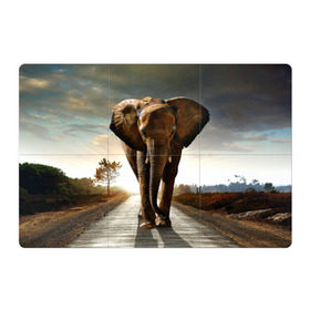 Магнитный плакат 3Х2 с принтом Дикий слон , Полимерный материал с магнитным слоем | 6 деталей размером 9*9 см | Тематика изображения на принте: слон
