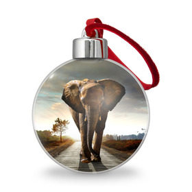 Ёлочный шар с принтом Дикий слон , Пластик | Диаметр: 77 мм | слон