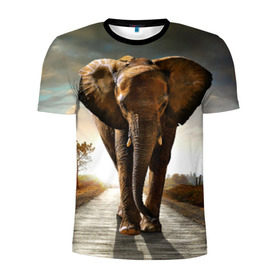 Мужская футболка 3D спортивная с принтом Дикий слон , 100% полиэстер с улучшенными характеристиками | приталенный силуэт, круглая горловина, широкие плечи, сужается к линии бедра | слон