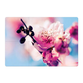 Магнитный плакат 3Х2 с принтом Цветущая вишня , Полимерный материал с магнитным слоем | 6 деталей размером 9*9 см | Тематика изображения на принте: вишня | дерево | небо | природа | черешня | ягода