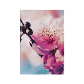 Обложка для паспорта матовая кожа с принтом Цветущая вишня , натуральная матовая кожа | размер 19,3 х 13,7 см; прозрачные пластиковые крепления | вишня | дерево | небо | природа | черешня | ягода