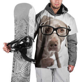 Накидка на куртку 3D с принтом Собака в очках , 100% полиэстер |  | в очках | дог | животное | очки | прикол | пятнистый | собака | щенок