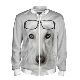Мужской бомбер 3D с принтом Собака в очках , 100% полиэстер | застегивается на молнию, по бокам два кармана без застежек, по низу бомбера и на воротнике - эластичная резинка | Тематика изображения на принте: афганская | белая | борзая | в очках | животное | очки | прикол | собака