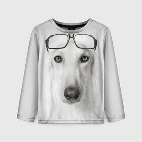 Детский лонгслив 3D с принтом Собака в очках , 100% полиэстер | длинные рукава, круглый вырез горловины, полуприлегающий силуэт
 | афганская | белая | борзая | в очках | животное | очки | прикол | собака