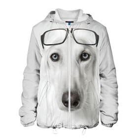 Мужская куртка 3D с принтом Собака в очках , ткань верха — 100% полиэстер, подклад — флис | прямой крой, подол и капюшон оформлены резинкой с фиксаторами, два кармана без застежек по бокам, один большой потайной карман на груди. Карман на груди застегивается на липучку | афганская | белая | борзая | в очках | животное | очки | прикол | собака