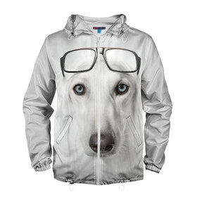 Мужская ветровка 3D с принтом Собака в очках , 100% полиэстер | подол и капюшон оформлены резинкой с фиксаторами, два кармана без застежек по бокам, один потайной карман на груди | афганская | белая | борзая | в очках | животное | очки | прикол | собака