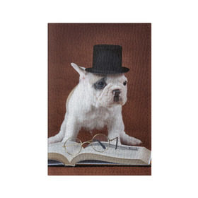 Обложка для паспорта матовая кожа с принтом Бульдог в цилиндре , натуральная матовая кожа | размер 19,3 х 13,7 см; прозрачные пластиковые крепления | Тематика изображения на принте: бульдог в цилиндре | домашнее | животное | книга французский | очки | пес | прикол | собака | умный | ученый