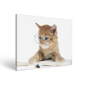 Холст прямоугольный с принтом Кот в очках , 100% ПВХ |  | Тематика изображения на принте: домашнее | животное | книга | кот | кот в очках | котэ | очки | прикол | умный | ученый | читает