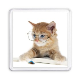 Магнит 55*55 с принтом Кот в очках , Пластик | Размер: 65*65 мм; Размер печати: 55*55 мм | Тематика изображения на принте: домашнее | животное | книга | кот | кот в очках | котэ | очки | прикол | умный | ученый | читает