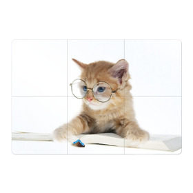 Магнитный плакат 3Х2 с принтом Кот в очках , Полимерный материал с магнитным слоем | 6 деталей размером 9*9 см | Тематика изображения на принте: домашнее | животное | книга | кот | кот в очках | котэ | очки | прикол | умный | ученый | читает