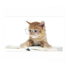 Бумага для упаковки 3D с принтом Кот в очках , пластик и полированная сталь | круглая форма, металлическое крепление в виде кольца | Тематика изображения на принте: домашнее | животное | книга | кот | кот в очках | котэ | очки | прикол | умный | ученый | читает
